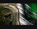 NFS 衛星視点