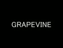 GRAPEVINEで好きな曲が流れたら死亡の続編