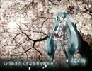 桜ノ雨　歌ってみた　【大地】