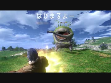 【旧FF14】エオルゼアメモリーズPart1【思い出動画】