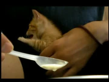 離乳食チャレンジ！