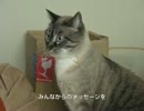ジャンくんの天国の兄弟たちグーチョキパーアイコとダンボ