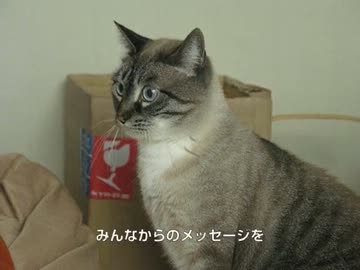 ジャンくんの天国の兄弟たちグーチョキパーアイコとダンボ