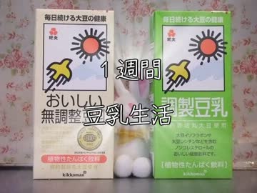 １週間豆乳生活【２日目】
