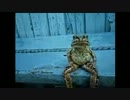 カエルの中に入っても人生疲れた