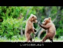 最後だとわかっていたなら。