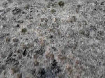 modaoの日本一周　part3.5