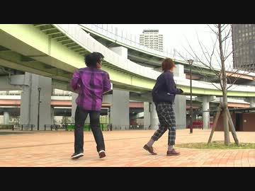 【にっぺ・にこりあ】lllトゥルティンアンテナlll踊ってみた【歌：夜光】