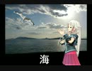海