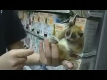 雨乞いをするちび淫夢くんUC