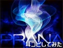 【jubeat saucer】PRANAを耳コピしてみた【耳コピ】