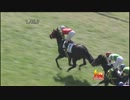 4歳上500万（牝）_マイネクイーン