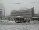 歩行動画　大雪の日の東京・中野区