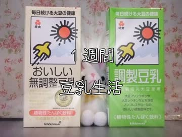 １週間豆乳生活【４日目】