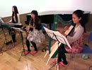ピアノ＆ハープ＆クラリネットで『ムーン・リバー』演奏してみた