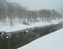 岸部さんの【樹氷の輝き】を弾いてみた