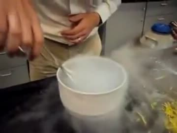 液体窒素の中に金魚を入れてみた