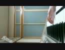 【弾いてみた】ディアラバモアブラッドPV耳コピ