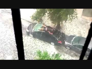 愛車をヒョウから体を張って守る男性ｗｗｗｗｗｗ