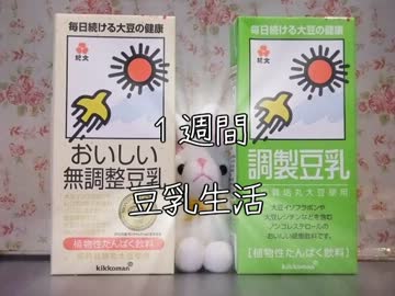 １週間豆乳生活【５日目】