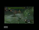 【MH2G】画質テストにクエスト行ってみた。