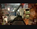 【CoD:BO2】好きな武器で行くBO2 Part13【PC】