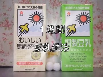 １週間豆乳生活【６日目】
