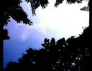 歌を知らないやつが「celluloid」を歌ってみた