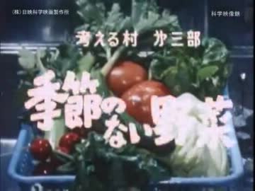 季節のない野菜