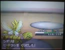 ぷうちゃんのポケットモンスターブラック2・ホワイト2　3