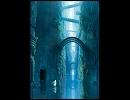 【Electronica】And Elavation【NNI】