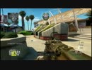 ぼっちの僕がCOD:BO2をMTARで【FFA】 13
