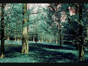 【ニコニコインディーズ】陽気と微風と【MSGS】