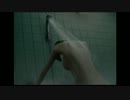 怖がりな俺が零～刺青の聲～を実況プレイしてみた part-3