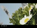 (´・ω・｀)が「春に一番近い街」歌ってみた