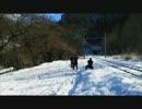 告発のFE動画