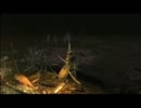 手探り過ぎた｢デモンズソウル｣実況プレイ　　Part72