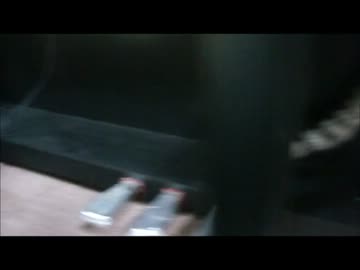 ツンギレのうちの猫が初対面の猫にフーッってされてショックを受けてる