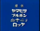 【懐かCM】1991年12月31日に放送されていたCM② 3/3