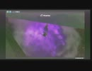 【岡山勢】zenkaiバトルロイヤル【ピッコロ】４