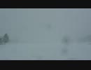[北海道]とある田舎道の暴風雪