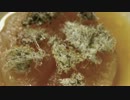 おでんの大根　黒とろろ昆布仕上　3.3 よろ昆布動画
