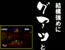 Wiiリモコンプラスバラエティ　その３