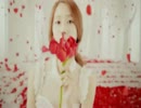 [FMV] SNSD Valentines Special 2013