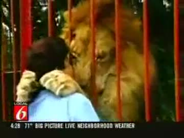 【コロンビア】 自分が助けた子供のライオンと数年ぶりに再会する女性