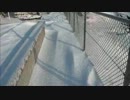 2013年うみねこ観察記　2月16日　土曜日