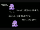 【ラチェクラ】ラチェット＆クランクを楽しみます Part.8【実況プレイ】