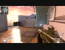 【COD　BO2】あーるけぃの凸で全武器制覇～Peacekeeper～【SMG編】