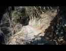 【初投稿】横峰林道に逝ってみた。