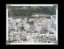 Juan Serrano  Alma（アルマ） Analog Sound Source